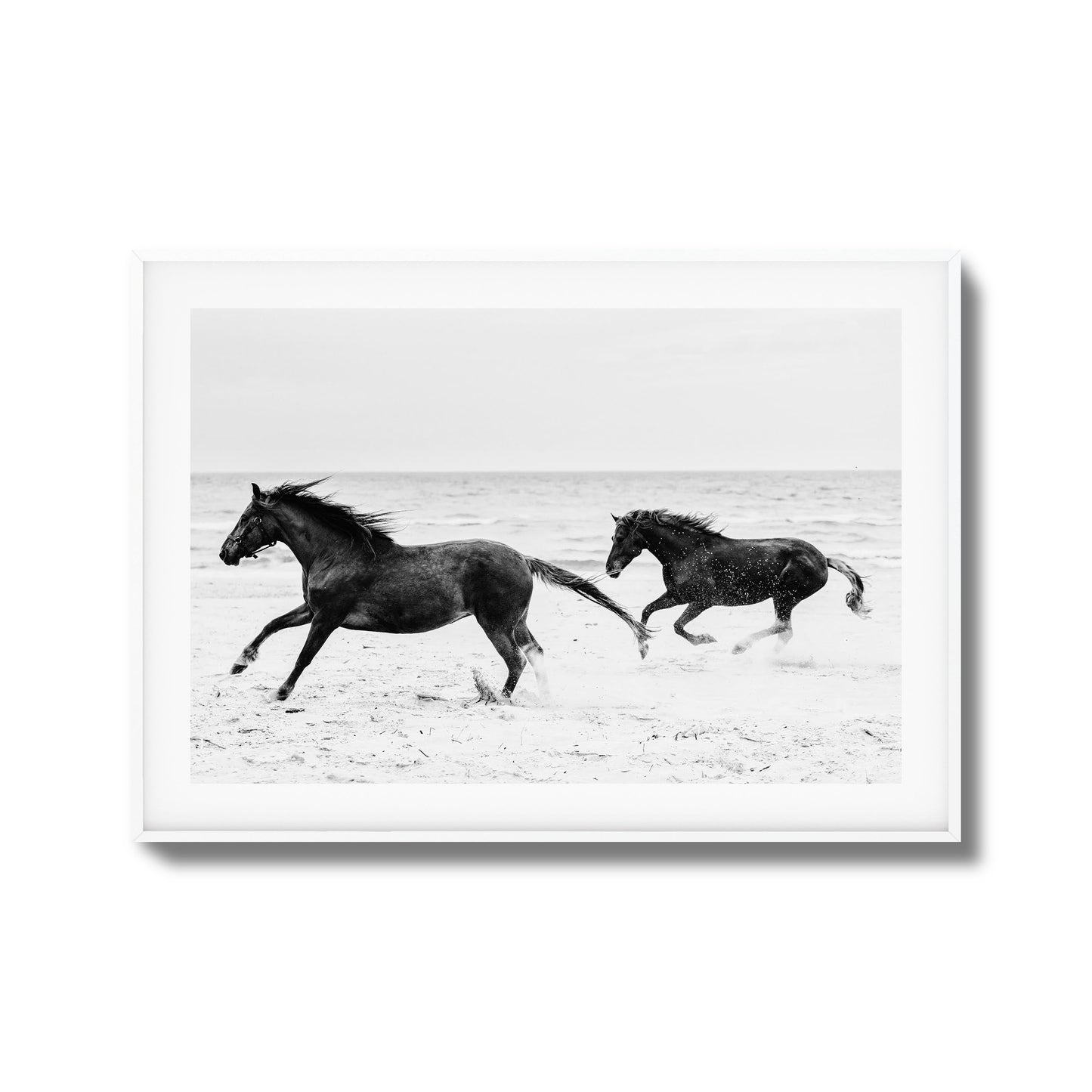 Horses on Beach Black and White Framed Art