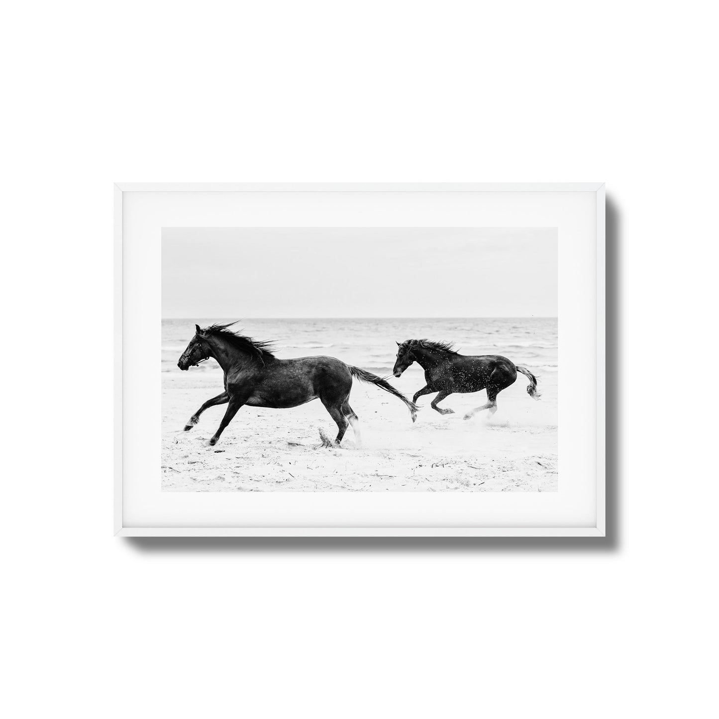 Horses on Beach Black and White Framed Art