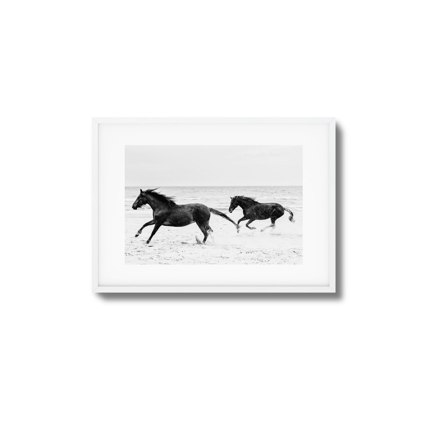 Horses on Beach Black and White Framed Art