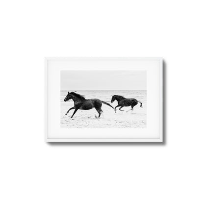 Horses on Beach Black and White Framed Art