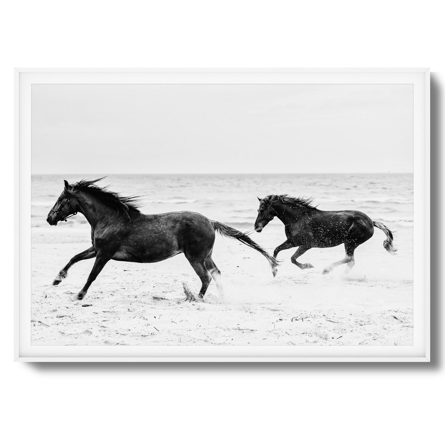 Horses on Beach Black and White Framed Art