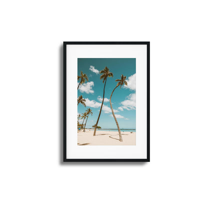 Island Haze Framed Art