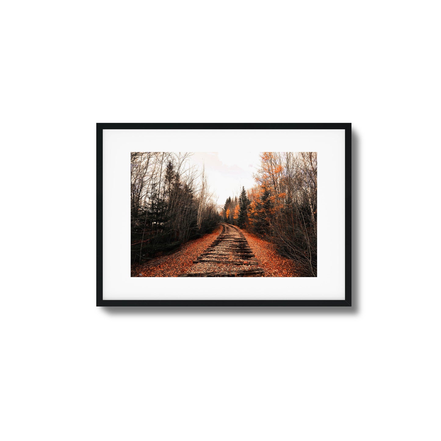 A photograph of abandoned train tracks winding through a forest with vibrant fall foliage, framed artwork.