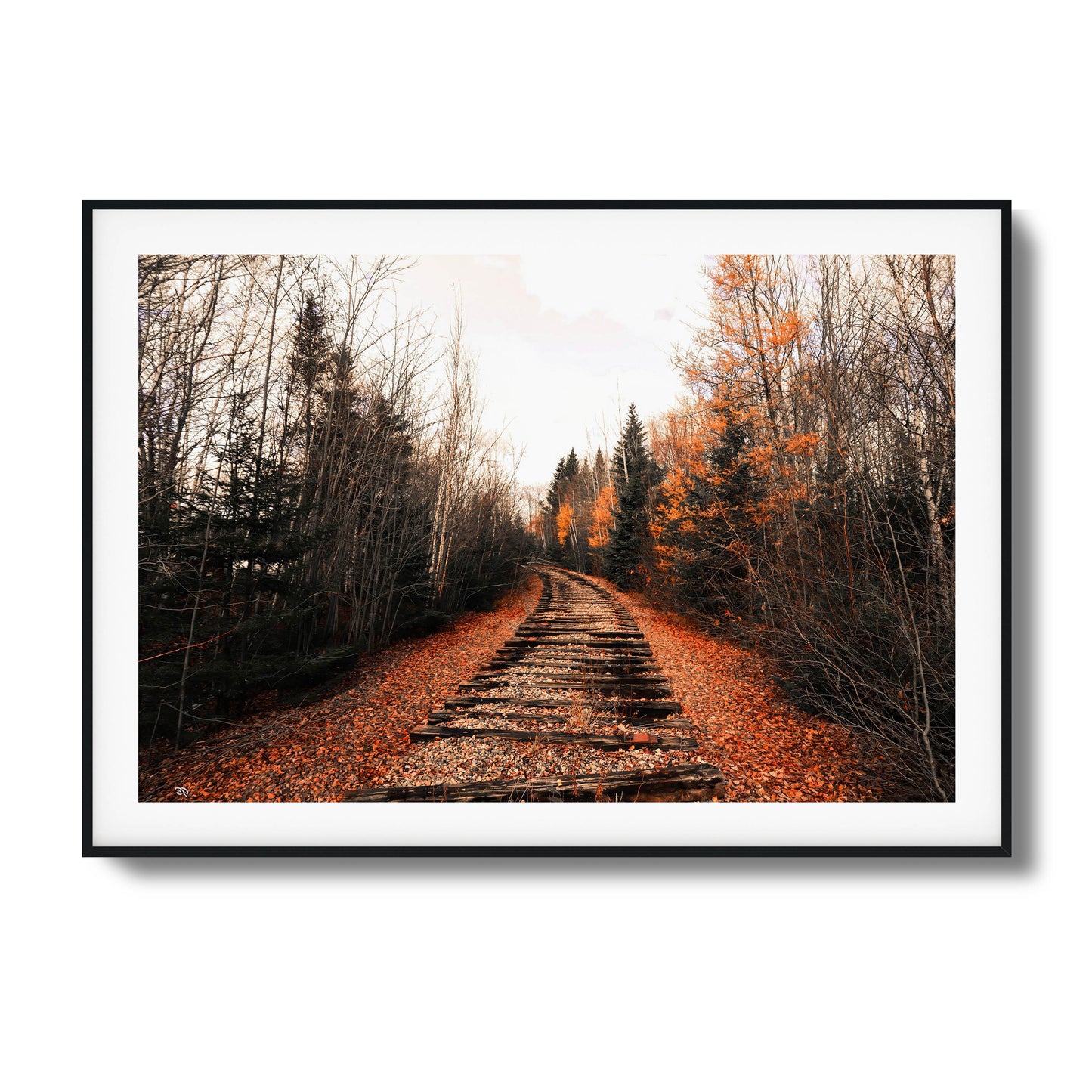 A photograph of abandoned train tracks winding through a forest with vibrant fall foliage, framed artwork.