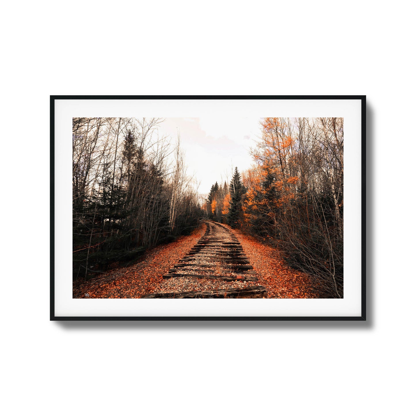 A photograph of abandoned train tracks winding through a forest with vibrant fall foliage, framed artwork.