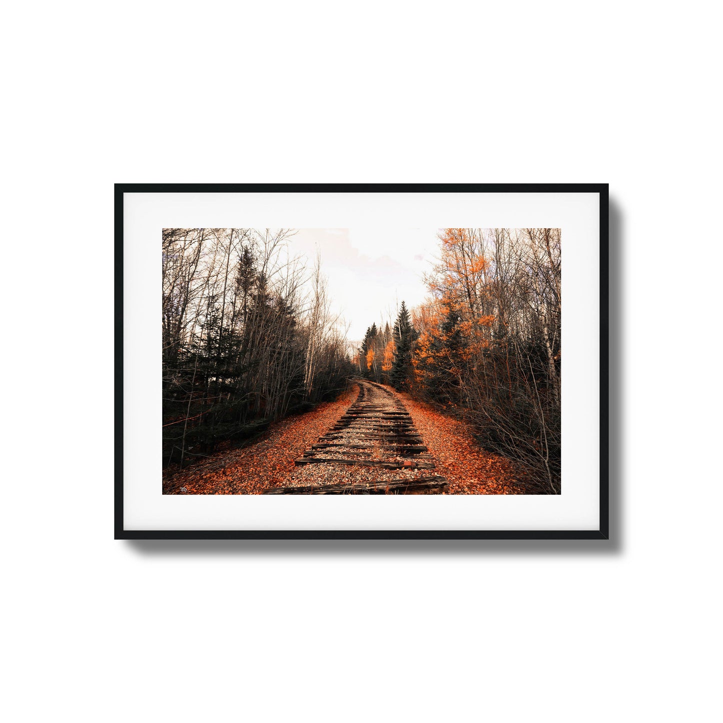 A photograph of abandoned train tracks winding through a forest with vibrant fall foliage, framed artwork.