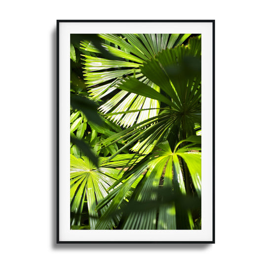 Jungle Light Framed Art
