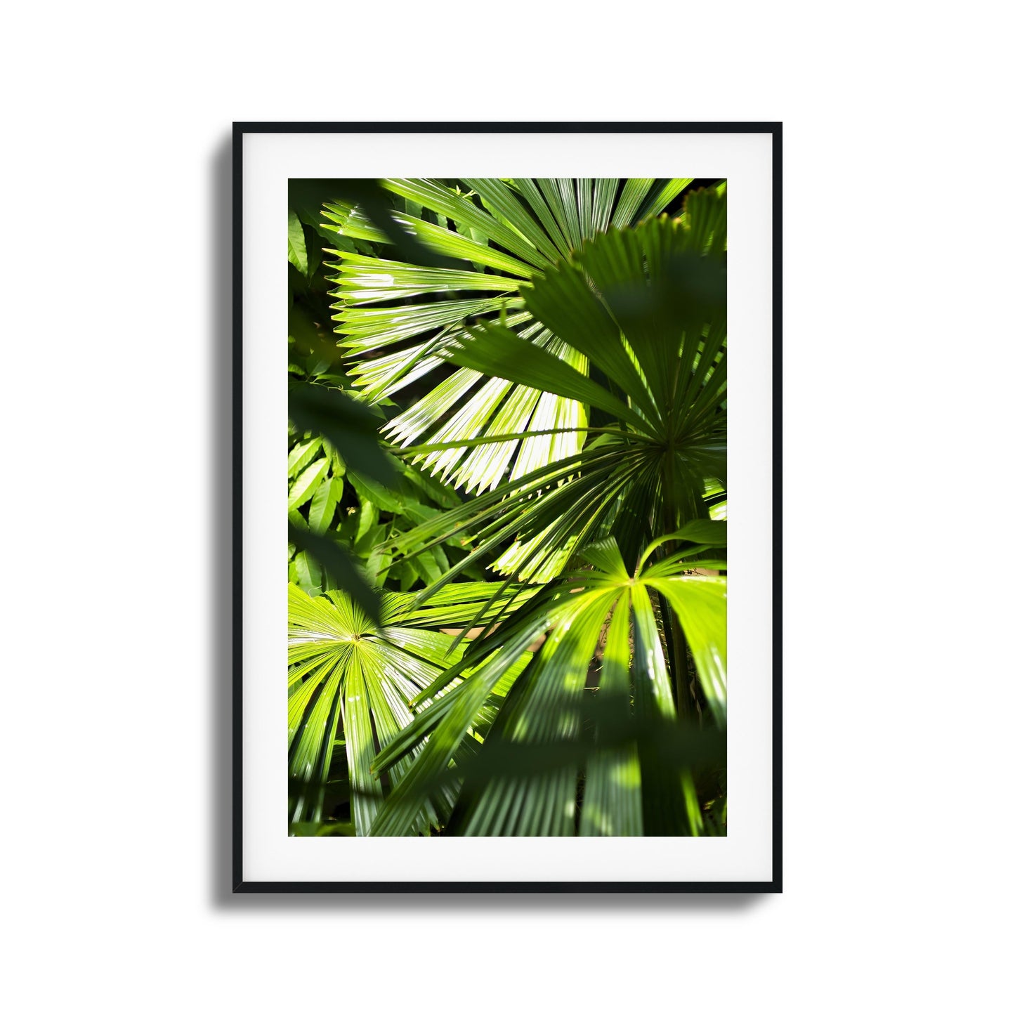 Jungle Light Framed Art