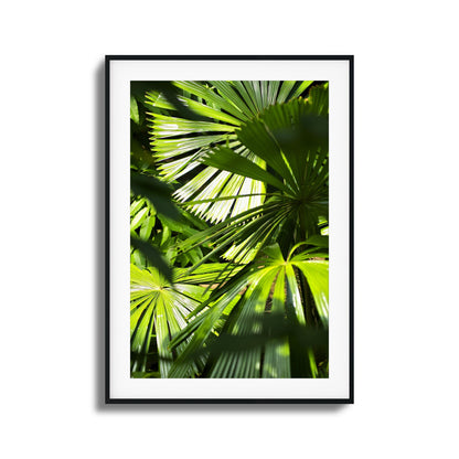 Jungle Light Framed Art