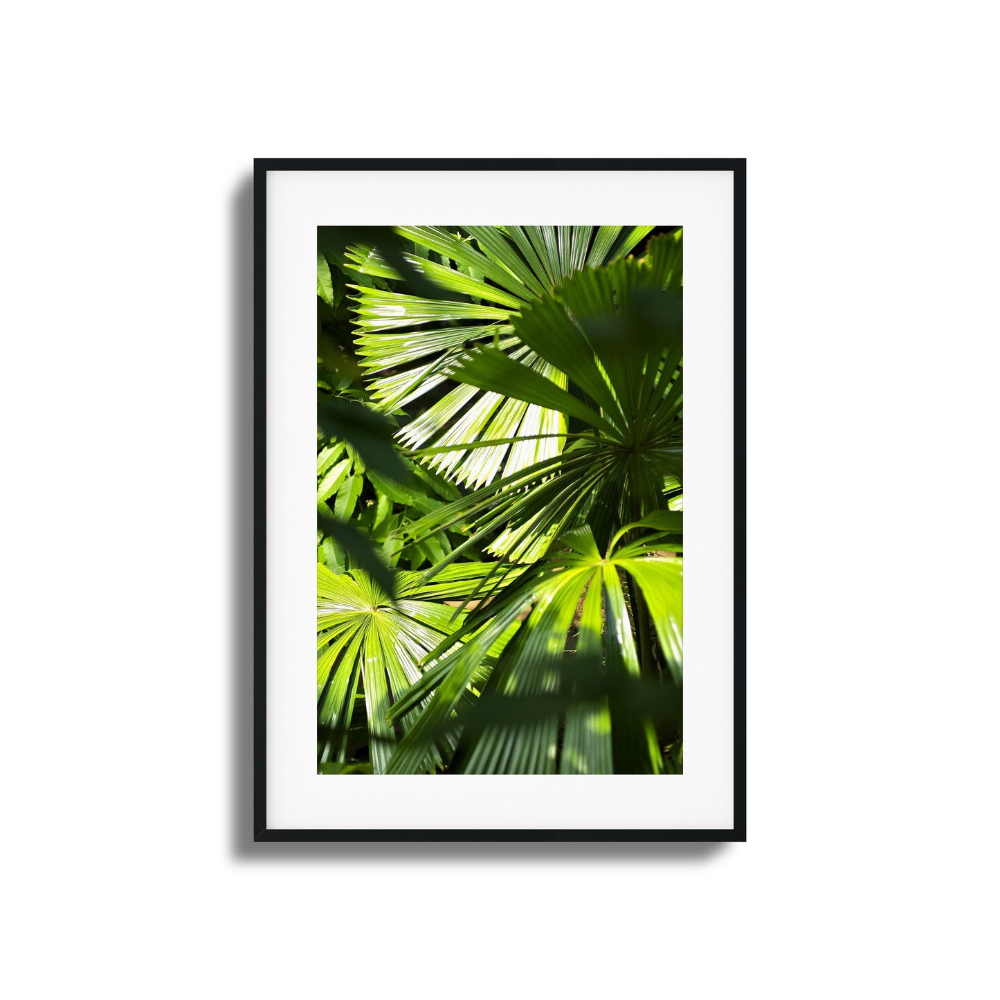Jungle Light Framed Art
