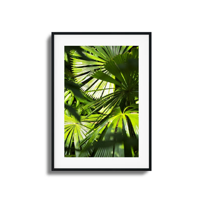Jungle Light Framed Art