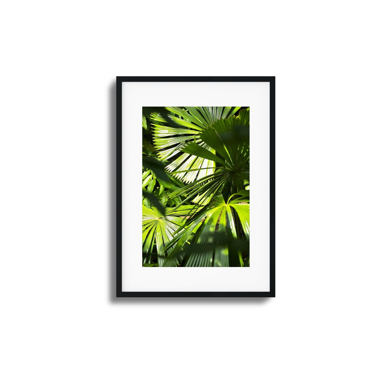 Jungle Light Framed Art