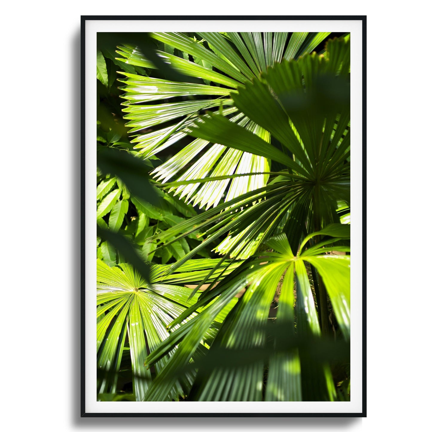 Jungle Light Framed Art