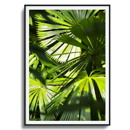 Jungle Light Framed Art