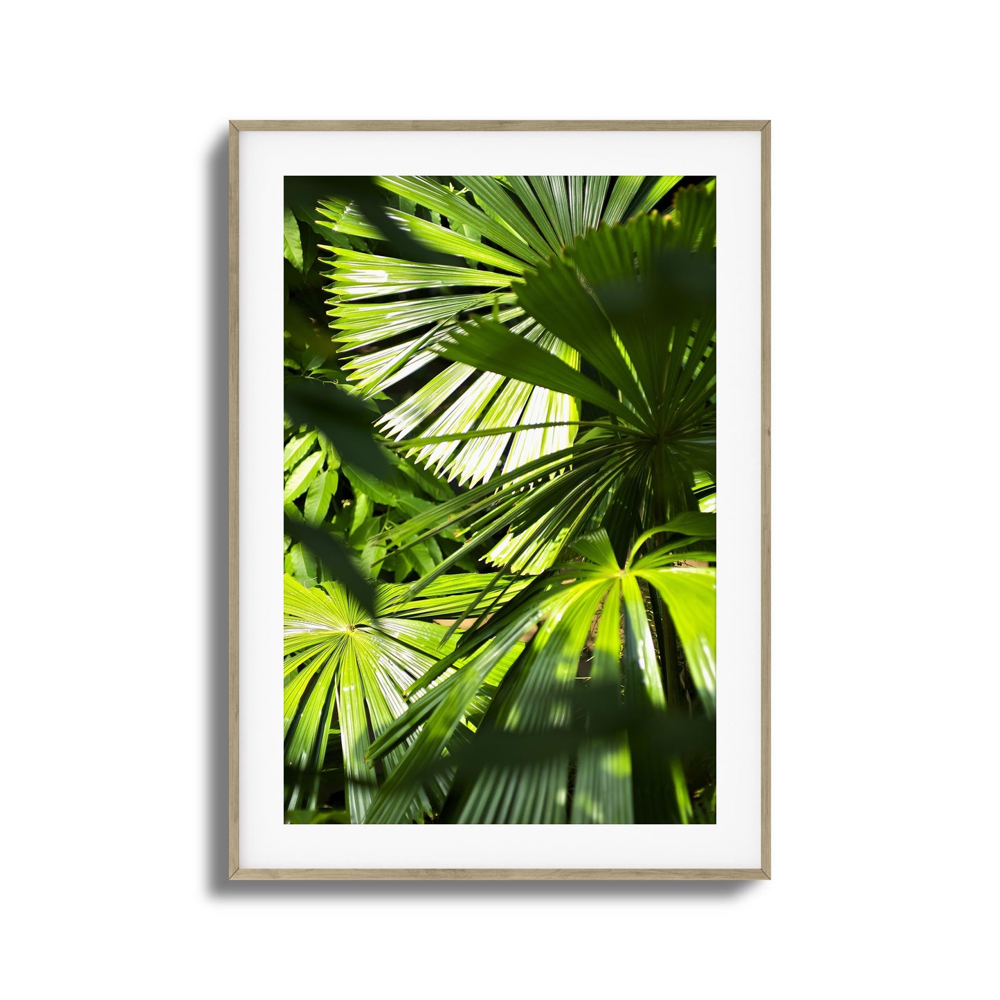 Jungle Light Framed Art