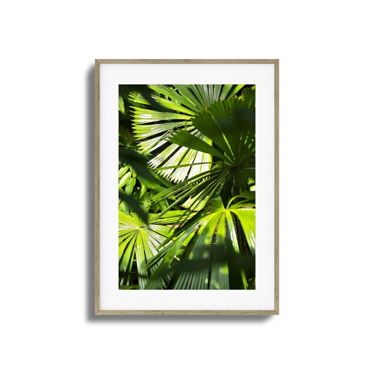 Jungle Light Framed Art