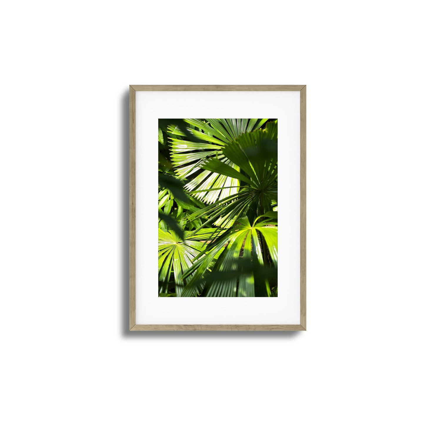Jungle Light Framed Art