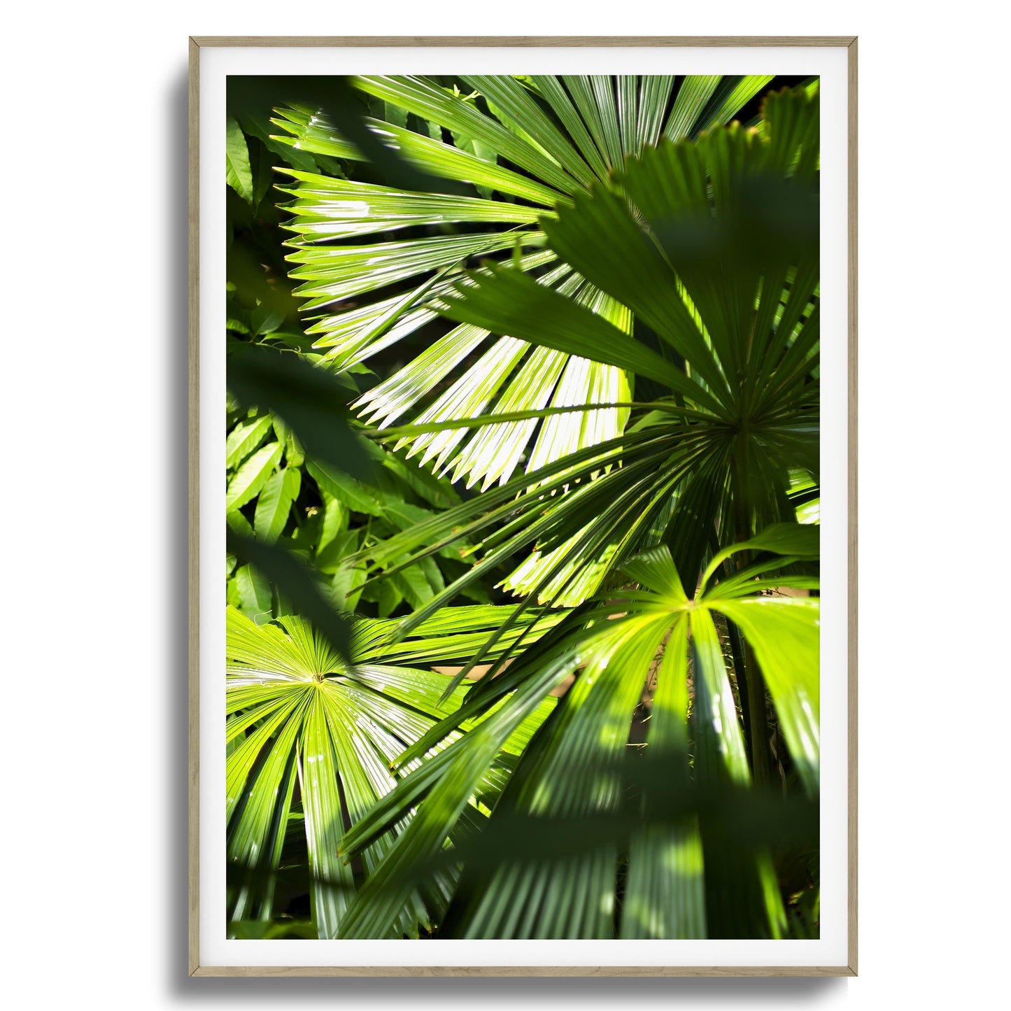 Jungle Light Framed Art