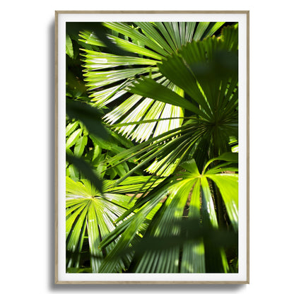 Jungle Light Framed Art