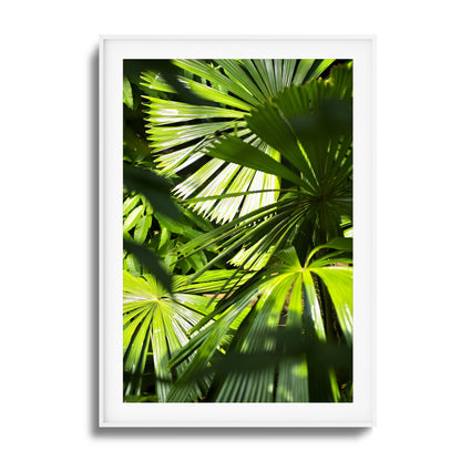 Jungle Light Framed Art