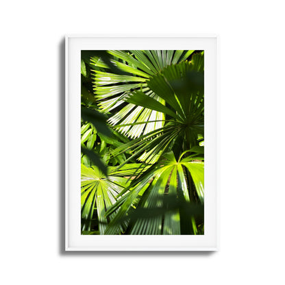 Jungle Light Framed Art