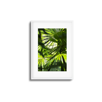 Jungle Light Framed Art