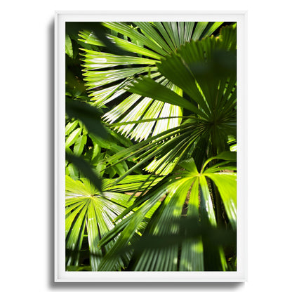 Jungle Light Framed Art