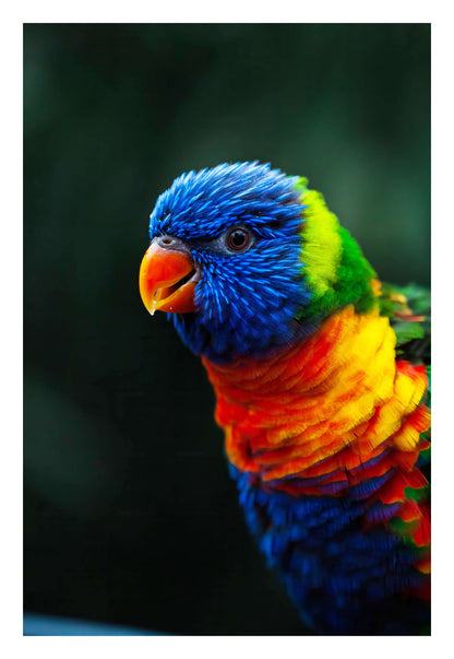 Kaleidoscope Framed Art