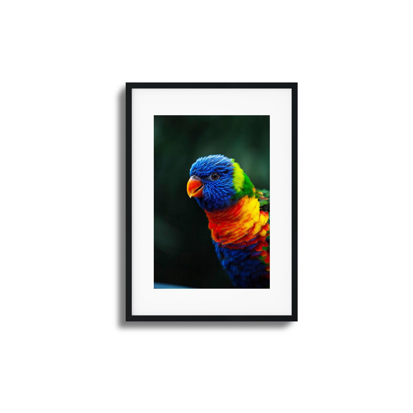 Vivid close-up of a colorful parrot in framed artwork.