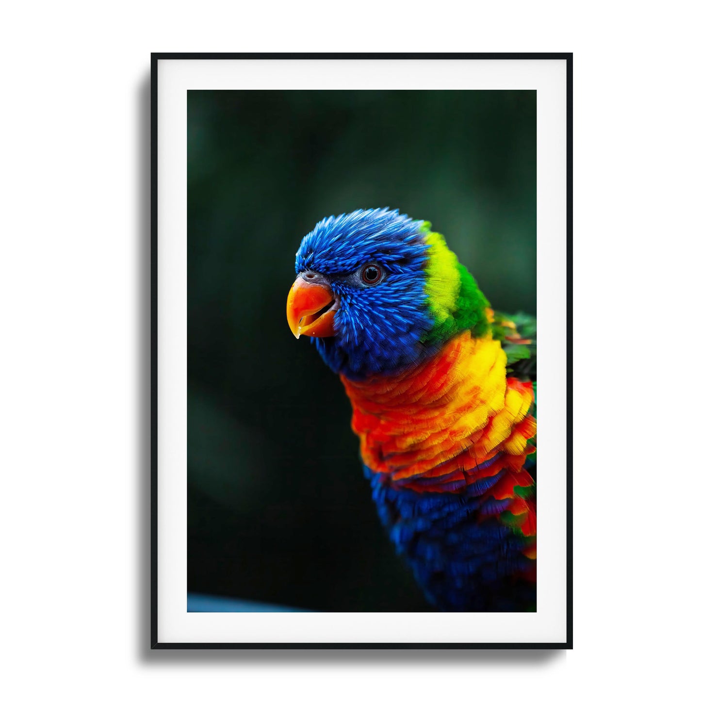 Vivid close-up of a colorful parrot in framed artwork.