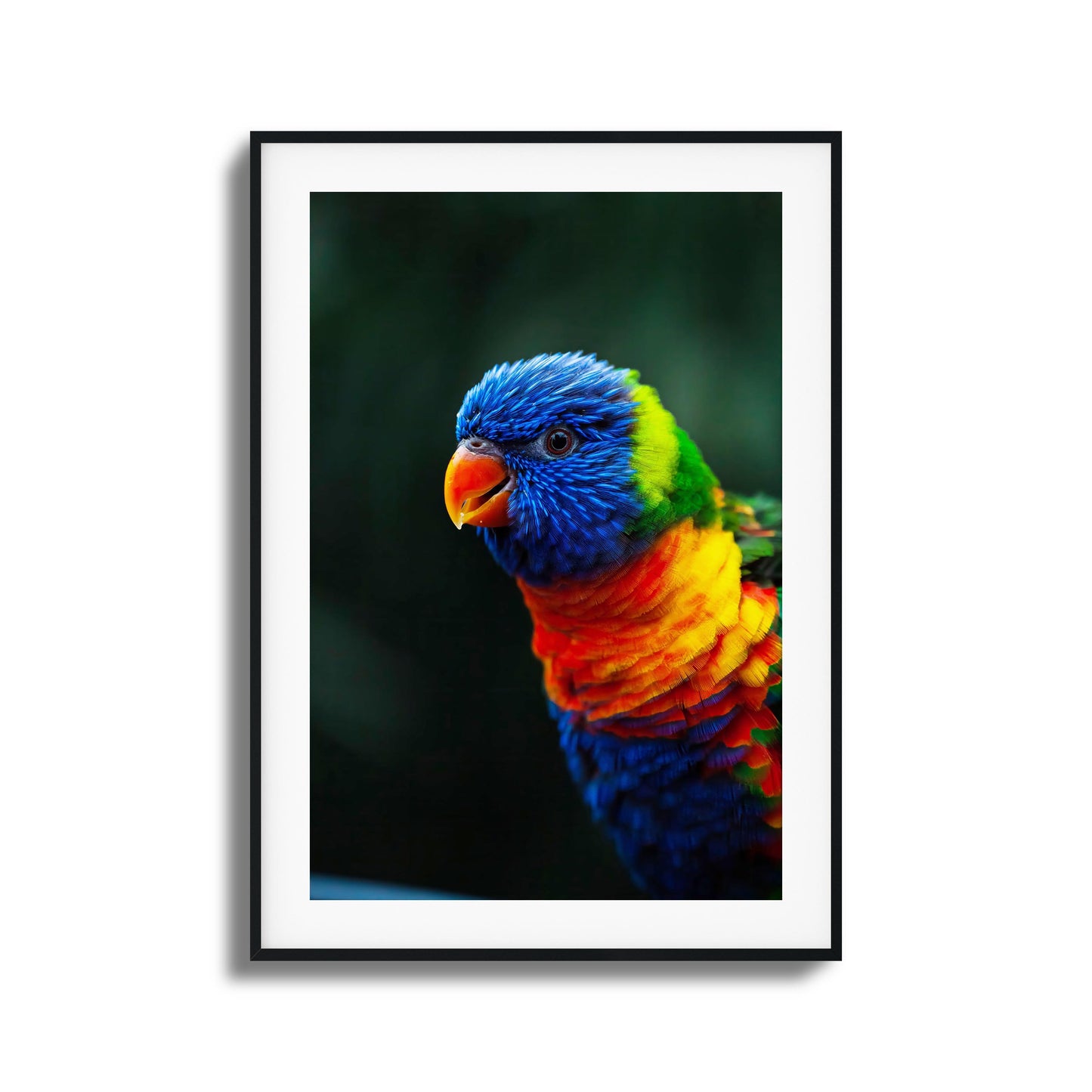 Vivid close-up of a colorful parrot in framed artwork.