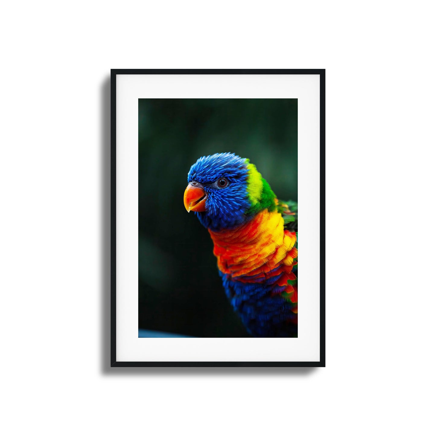 Vivid close-up of a colorful parrot in framed artwork.