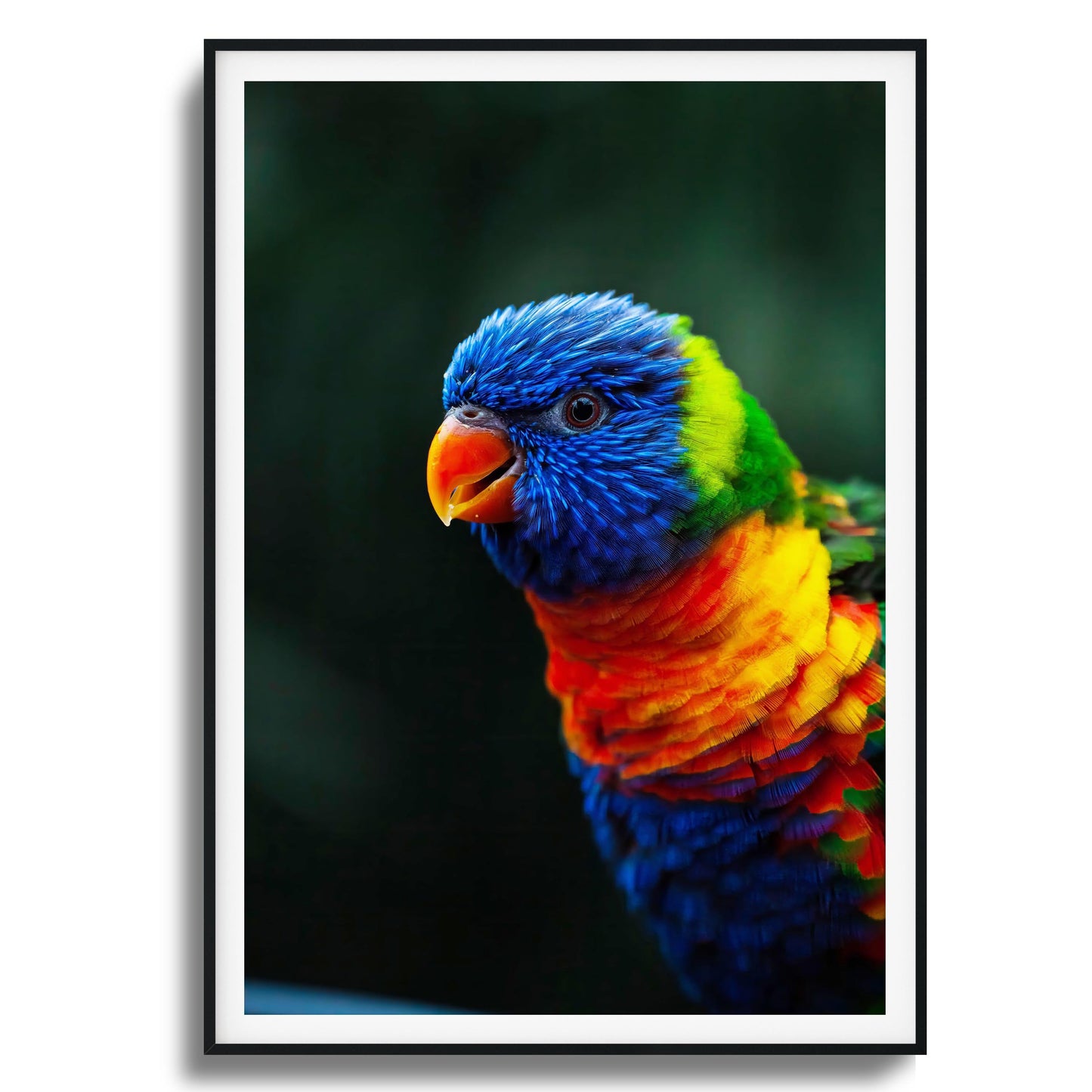 Kaleidoscope Framed Art