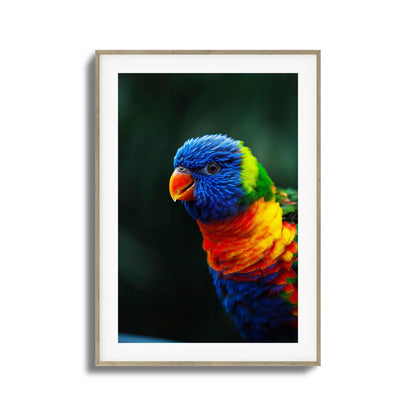 Kaleidoscope Framed Art