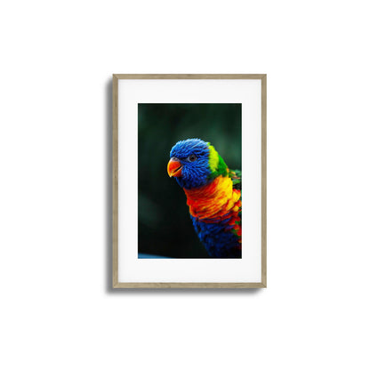 Kaleidoscope Framed Art