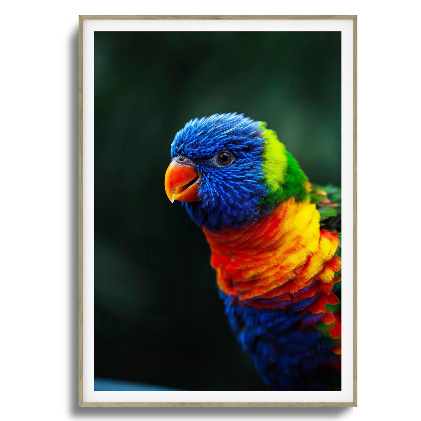 Kaleidoscope Framed Art