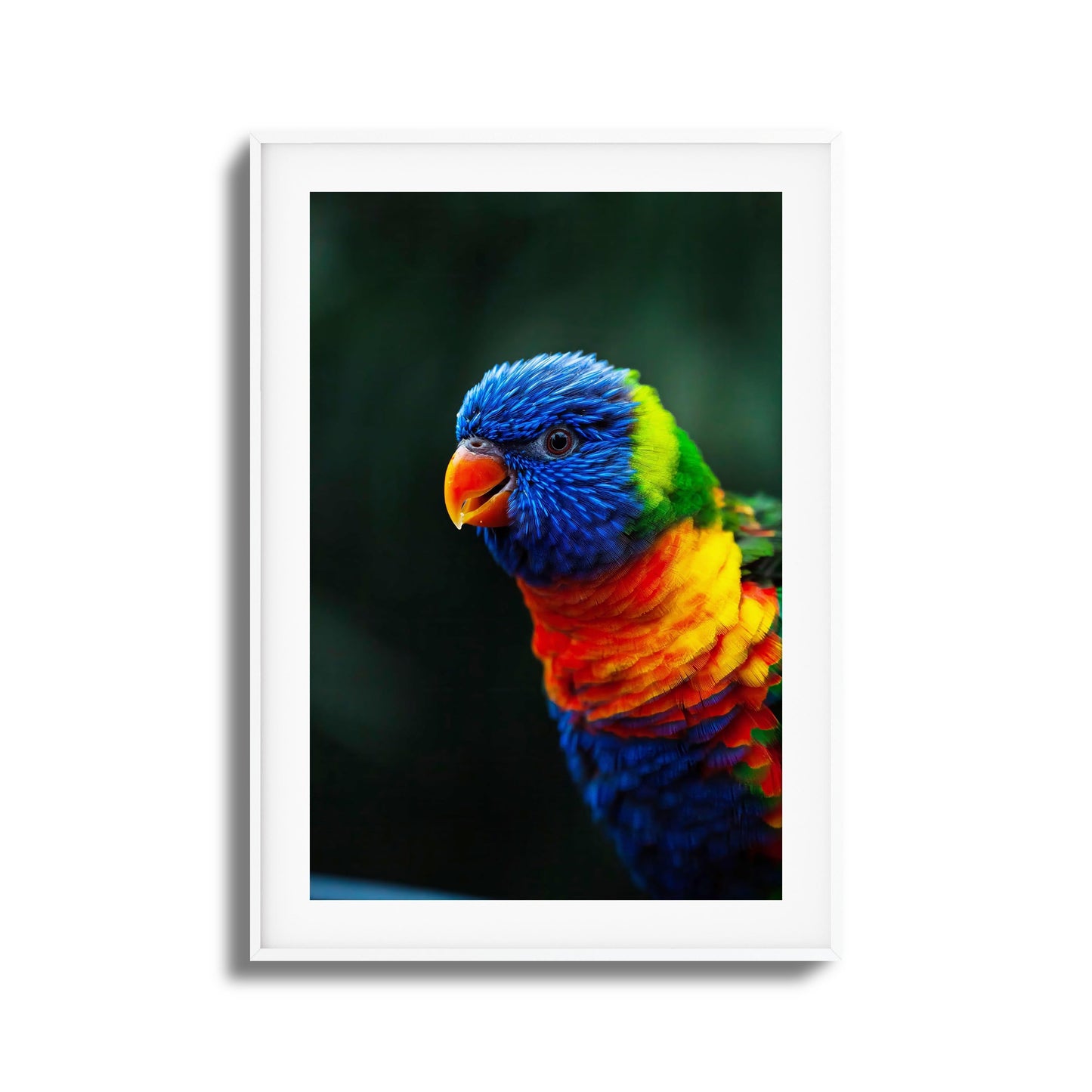 Kaleidoscope Framed Art