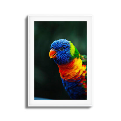 Kaleidoscope Framed Art