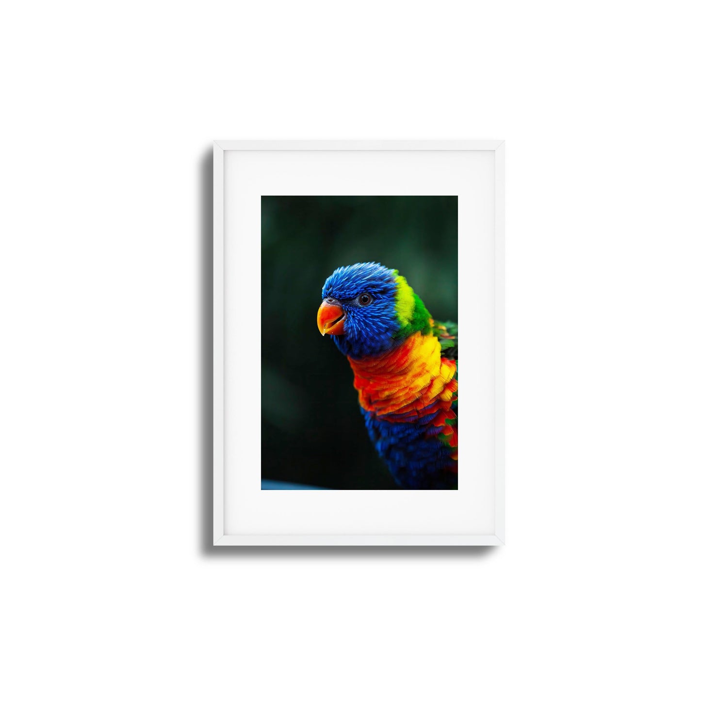 Kaleidoscope Framed Art