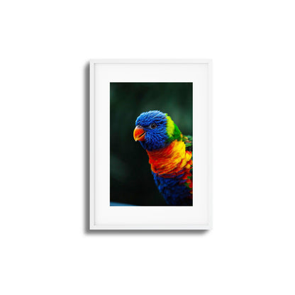 Kaleidoscope Framed Art