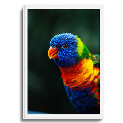 Kaleidoscope Framed Art