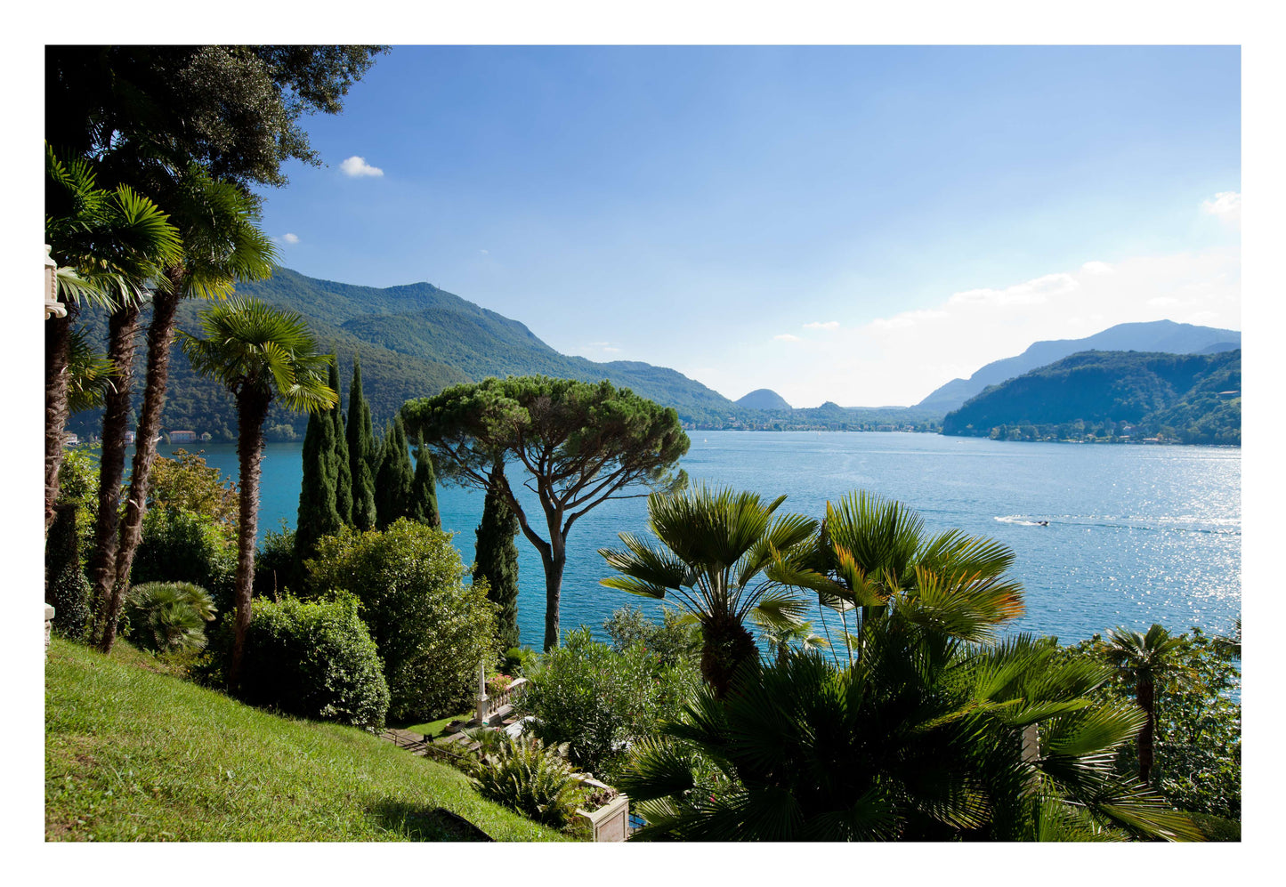 Lakeside Pines Framed Art