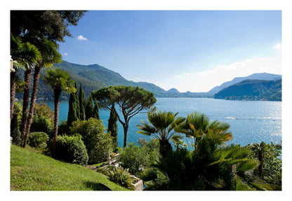 Lakeside Pines Framed Art