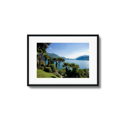 Lakeside Pines Framed Art