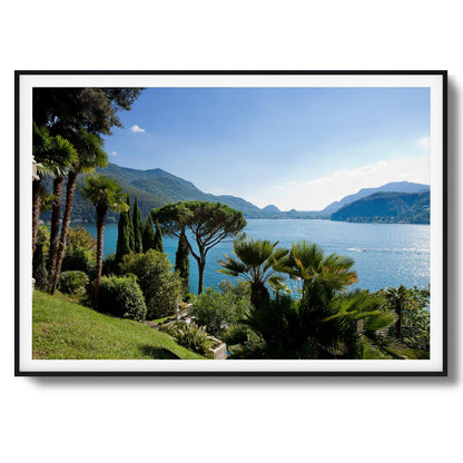 Lakeside Pines Framed Art