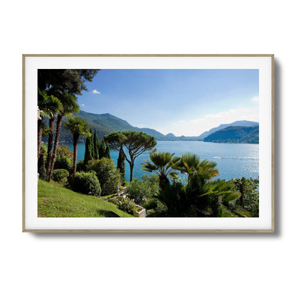 Lakeside Pines Framed Art
