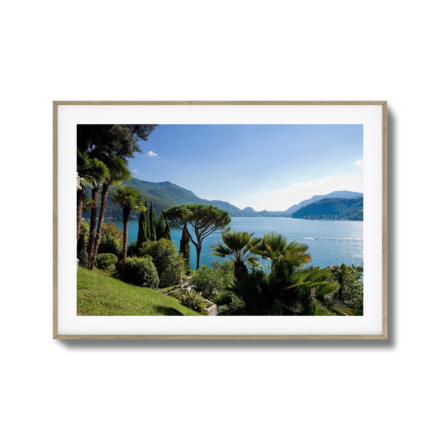 Lakeside Pines Framed Art