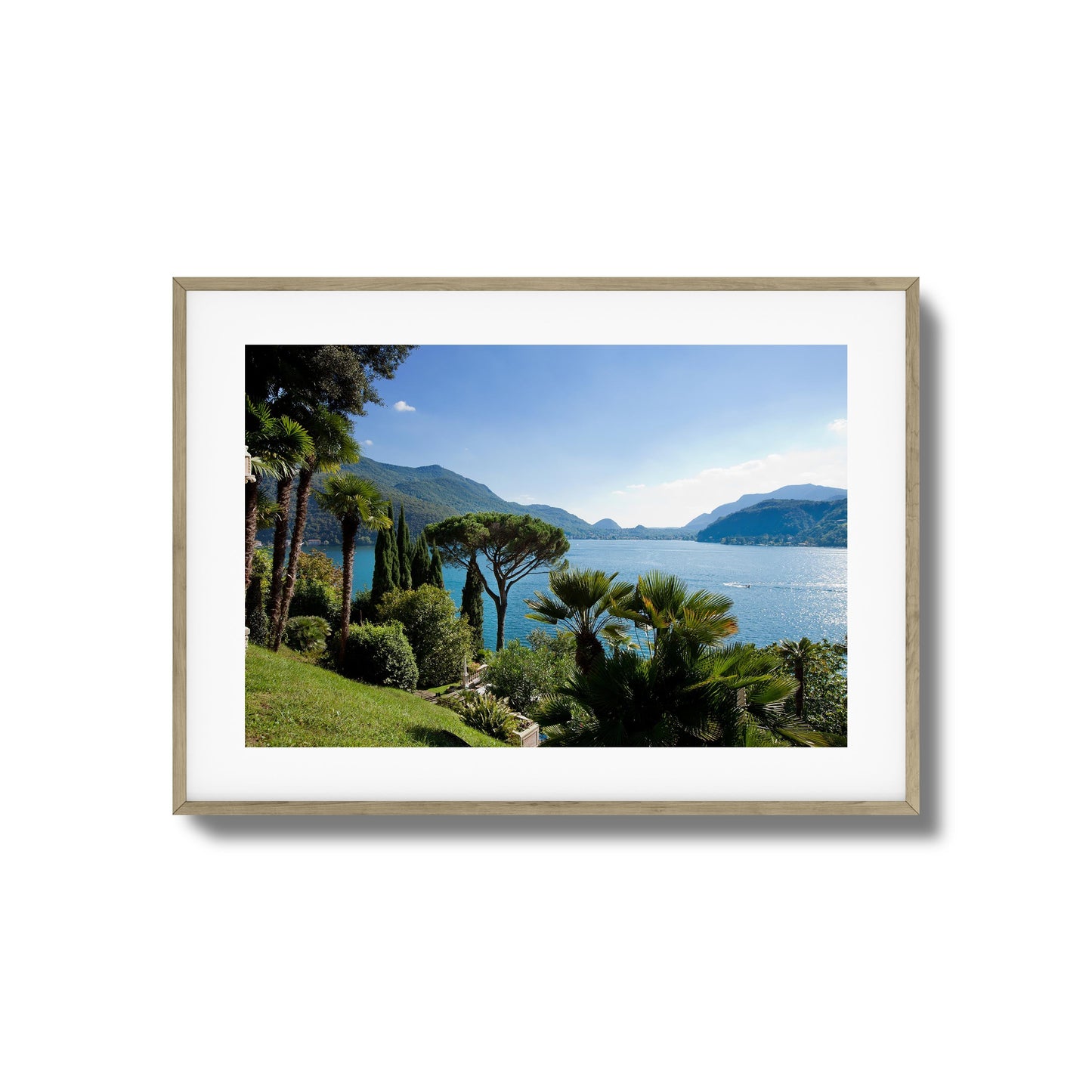 Lakeside Pines Framed Art