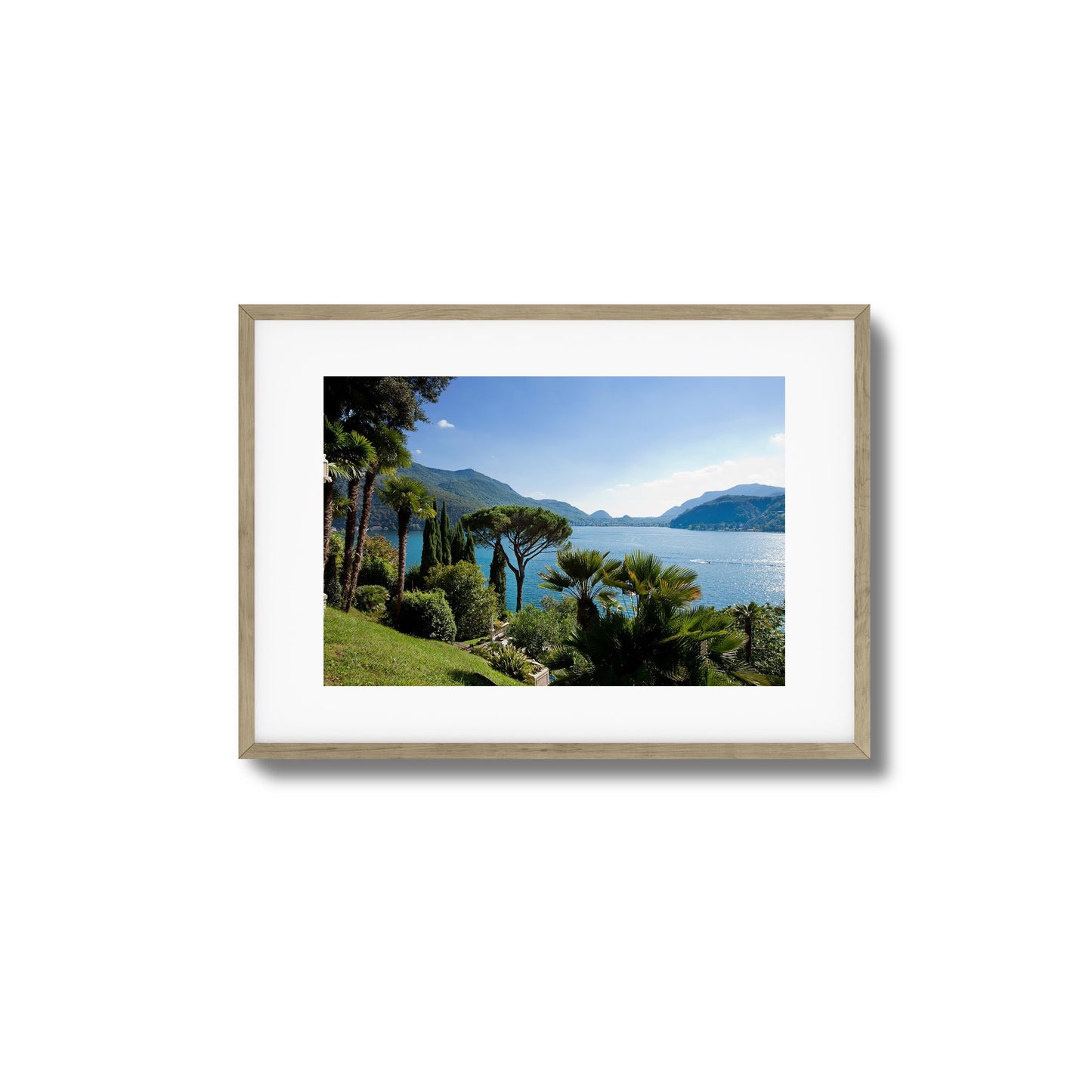 Lakeside Pines Framed Art