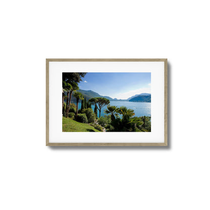 Lakeside Pines Framed Art